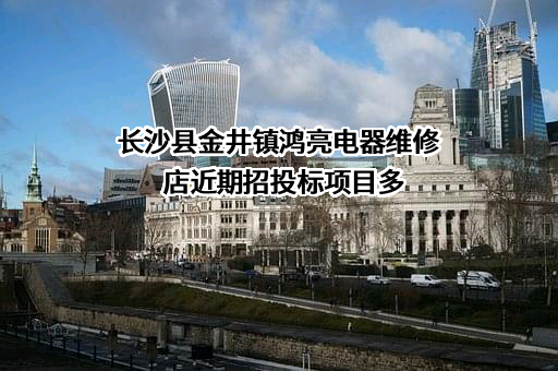 长沙县金井镇鸿亮电器维修店近期招投标项目多