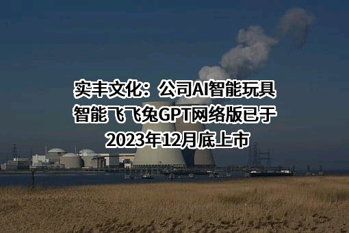 实丰文化发展股份有限公司