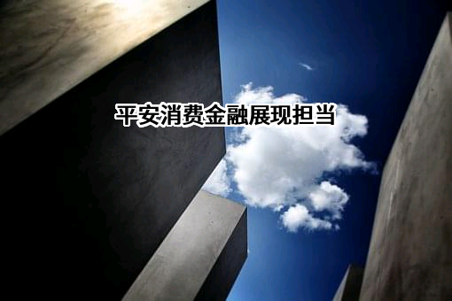 平安消费金融有限公司