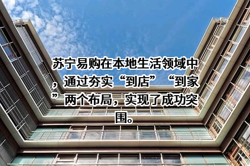 苏宁易购集团股份有限公司