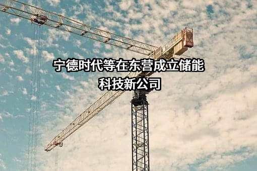 宁德时代新能源科技股份有限公司