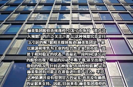深圳赫美集团股份有限公司