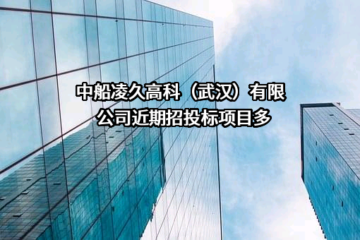 中船凌久高科（武汉）有限公司