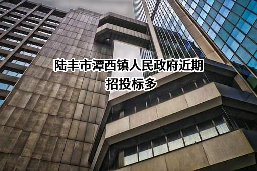 陆丰市潭西镇人民政府近期招投标项目多