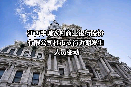江西丰城农村商业银行股份有限公司杜市支行