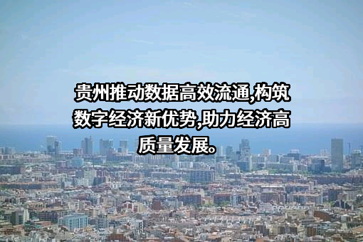 贵阳大数据交易所有限责任公司