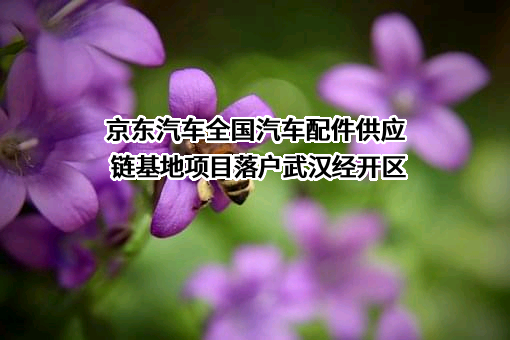 北京京东世纪贸易有限公司