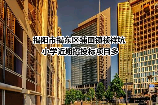 揭阳市揭东区埔田镇祯祥坑小学近期招投标项目多