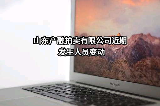 山东产融拍卖有限公司