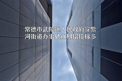 常德市武陵区人民政府穿紫河街道办事处近期招投标项目多