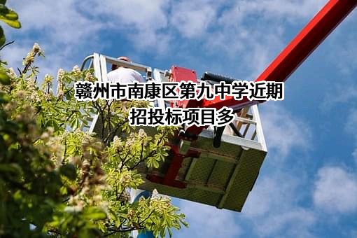 赣州市南康区第九中学近期招投标项目多