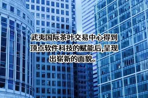 福建顶点软件股份有限公司