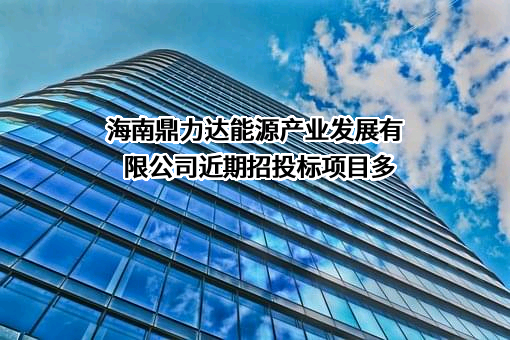 海南鼎力达能源产业发展有限公司