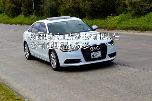 新疆腾兵工贸科技有限责任公司
