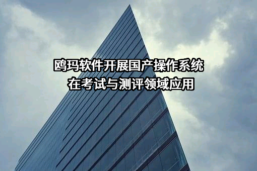 山东山大鸥玛软件股份有限公司