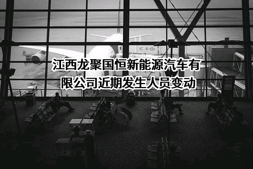 江西龙聚国恒新能源汽车有限公司