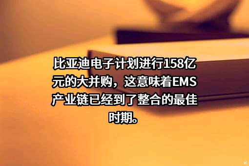 比亚迪电子（国际）有限公司