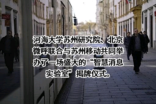 北京微呼科技有限公司