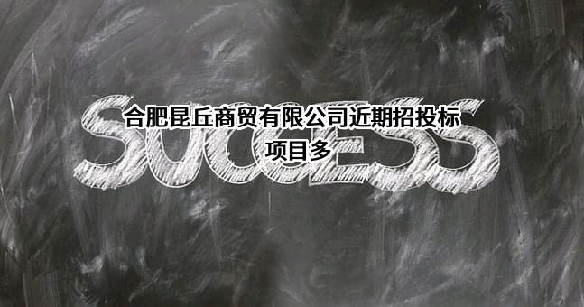 合肥昆丘商贸有限公司近期招投标项目多