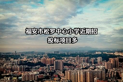福安市松罗中心小学近期招投标项目多