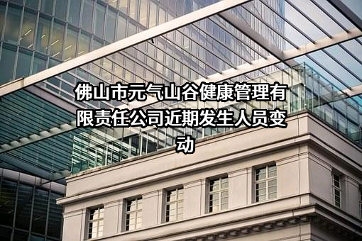 佛山市元气山谷健康管理有限责任公司