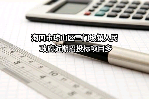 海口市琼山区三门坡镇人民政府近期招投标项目多