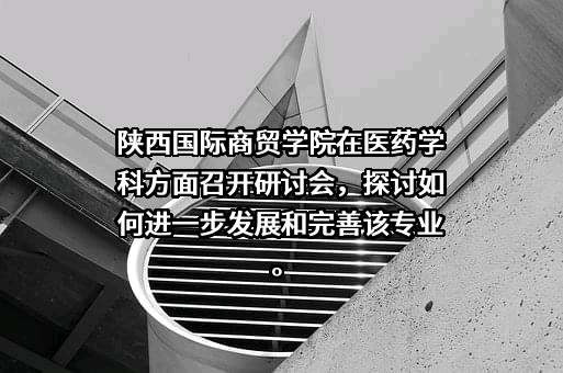 陕西国际商贸学院