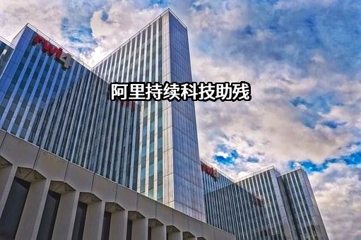 阿里宋汉信息技术有限公司