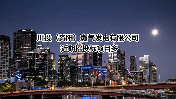 川投（资阳）燃气发电有限公司