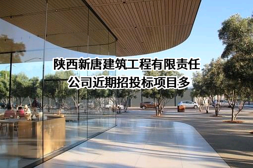 陕西新唐建筑工程有限责任公司