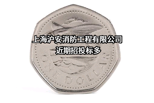 上海沪安消防工程有限公司