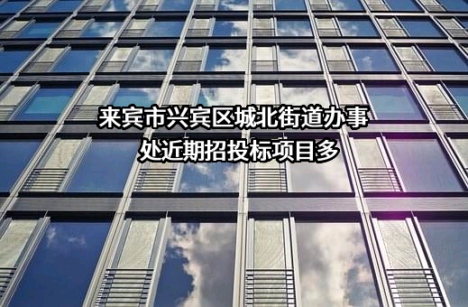 来宾市兴宾区城北街道办事处近期招投标项目多