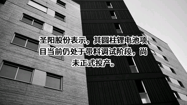 山东圣阳电源股份有限公司
