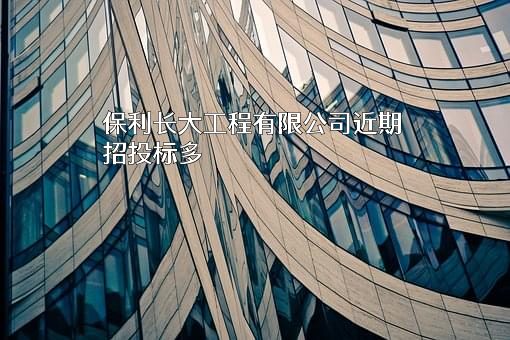 保利长大工程有限公司