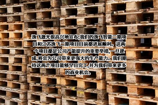 武汉逸飞激光股份有限公司