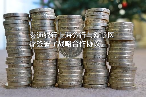 蓝帆医疗股份有限公司