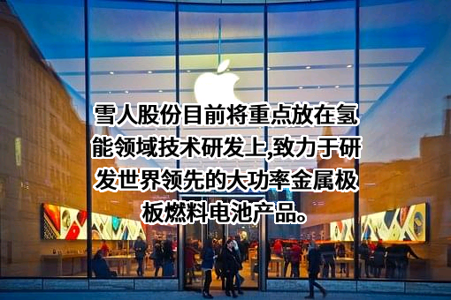 福建雪人股份有限公司