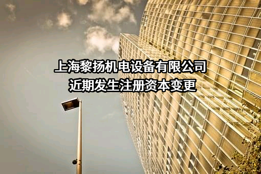 上海黎扬机电设备有限公司