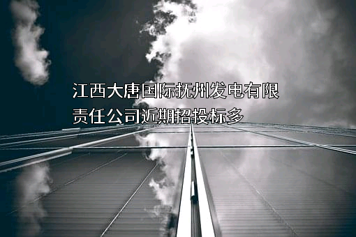 江西大唐国际抚州发电有限责任公司