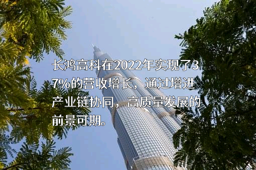 宁波长鸿高分子科技股份有限公司