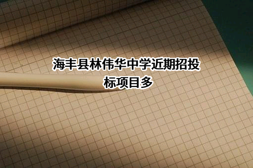 海丰县林伟华中学