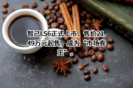 智己汽车科技有限公司