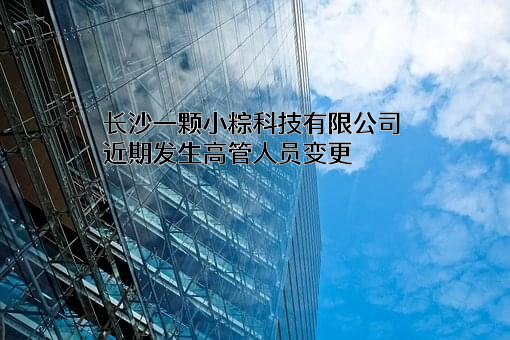 长沙一颗小粽科技有限公司