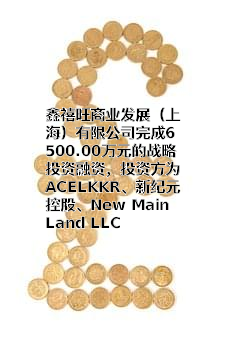 鑫禧旺商业发展（上海）有限公司