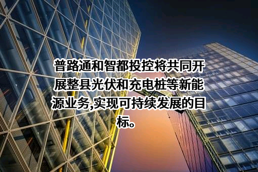 深圳市普路通供应链管理股份有限公司