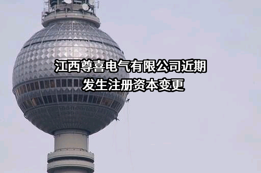 江西尊喜电气有限公司