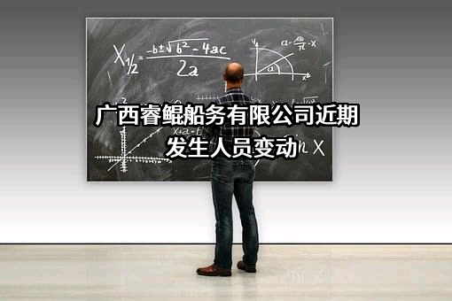 广西睿鲲船务有限公司