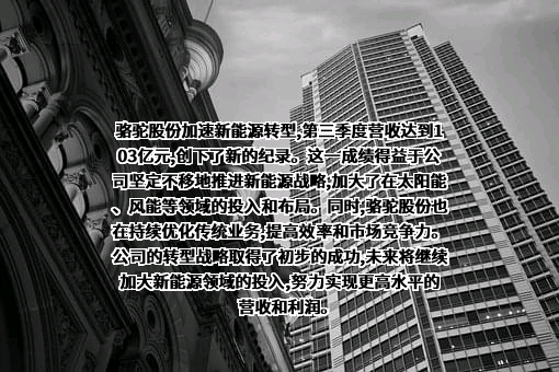骆驼集团股份有限公司