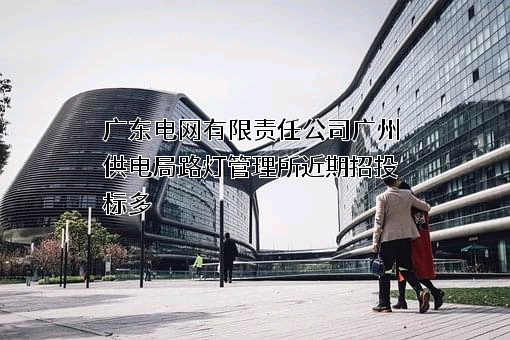 广东电网有限责任公司广州供电局路灯管理所