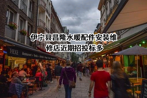 伊宁县昌隆水暖配件安装维修店